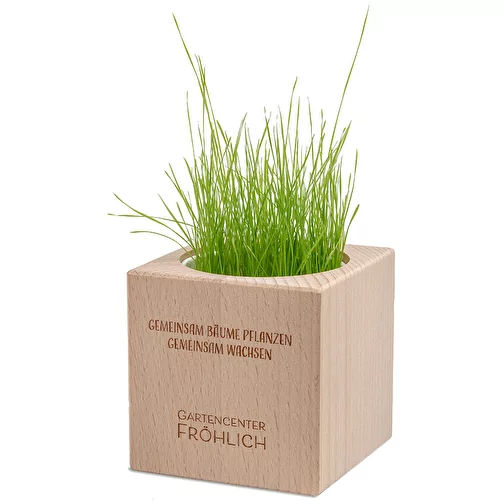 Plante-bois Grande avec graines - ciboulette, 2 sites gravés au laser, Image 2