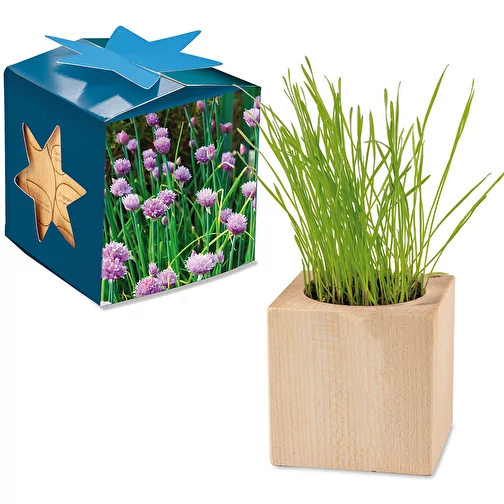 Pot cube bois Maxi en boite star-box avec graines - ciboulette, 2 sites gravés au laser, Image 1