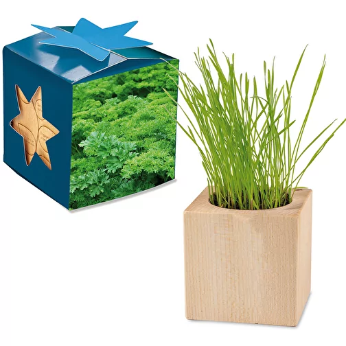Pot cube bois Maxi en boite star-box avec graines - Persil, 1 sites gravés au laser, Image 1
