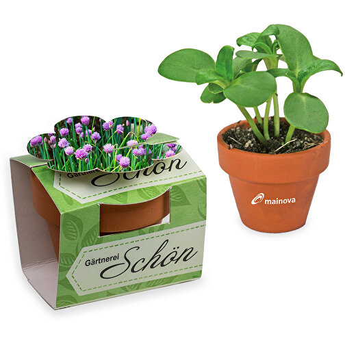 Mini pot terre cuite en fourreau fleur avec graines - ciboulette -avec marquage en tampographie, Image 1