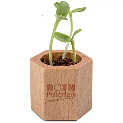 Bois de plantation Hexagon avec graines - Tournesol, 1 face gravée au laser, Image 2