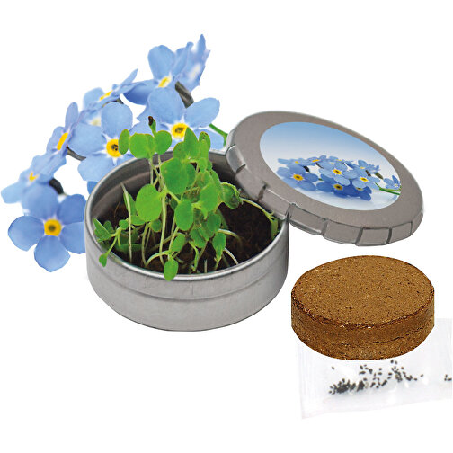 Fioriera Forget-me-not, Immagine 1