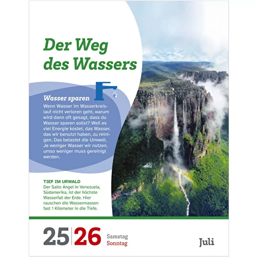 , Bild 12