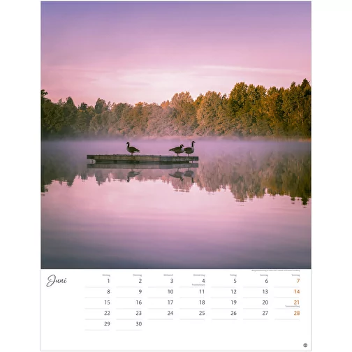 , Bild 7