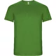 green fern