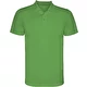 green fern