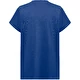 bleu roi