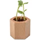 Tournesol