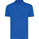bleu roi